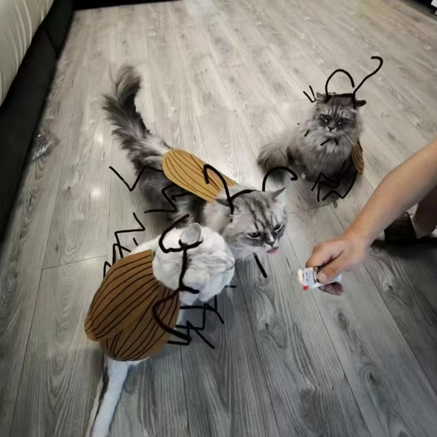 Get Your Furry Friend Ready for Halloween with This Hilarious Handmade Cockroach Costume! 🐾🎃 #PetCostume #HalloweenFun