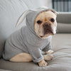 Premium Pet Guardian Gear: Dog Pet Clothes Spring And Autumn Clothing - Sanctum Paws and Fangs