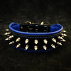 Premium Pet Guardian Gear: "Frenchie" collar - Sanctum Paws and Fangs