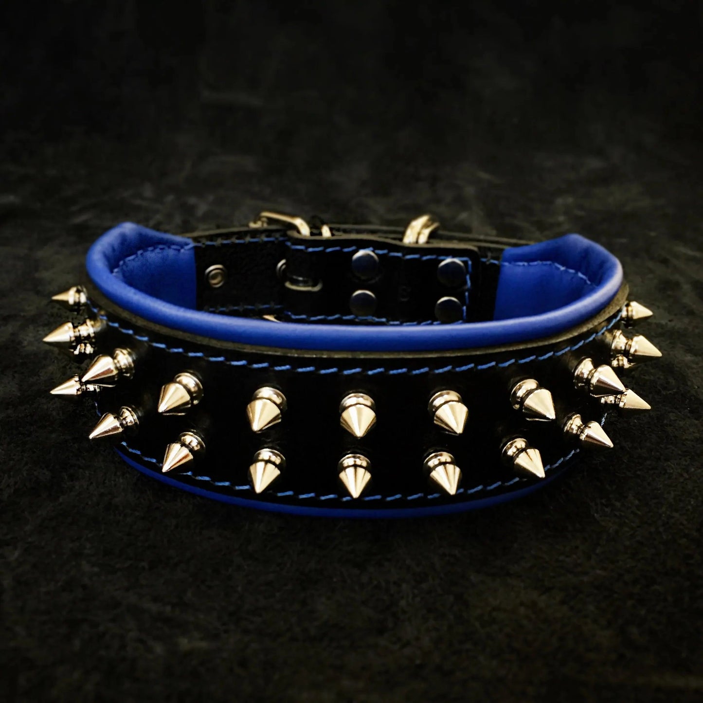 Premium Pet Guardian Gear: "Frenchie" collar - Sanctum Paws and Fangs