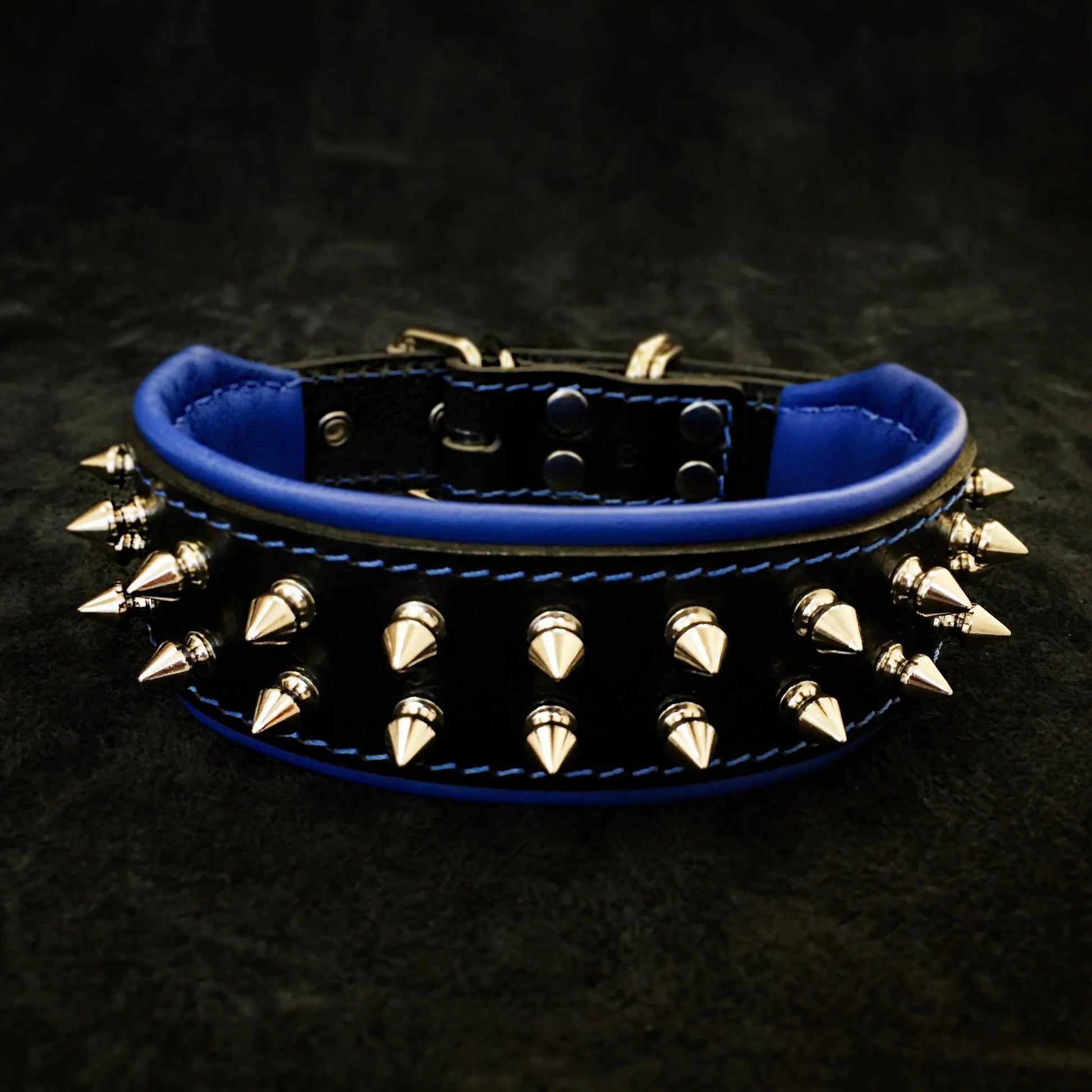 Premium Pet Guardian Gear: "Frenchie" collar - Sanctum Paws and Fangs