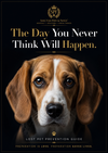 LOST PET PREVENTION