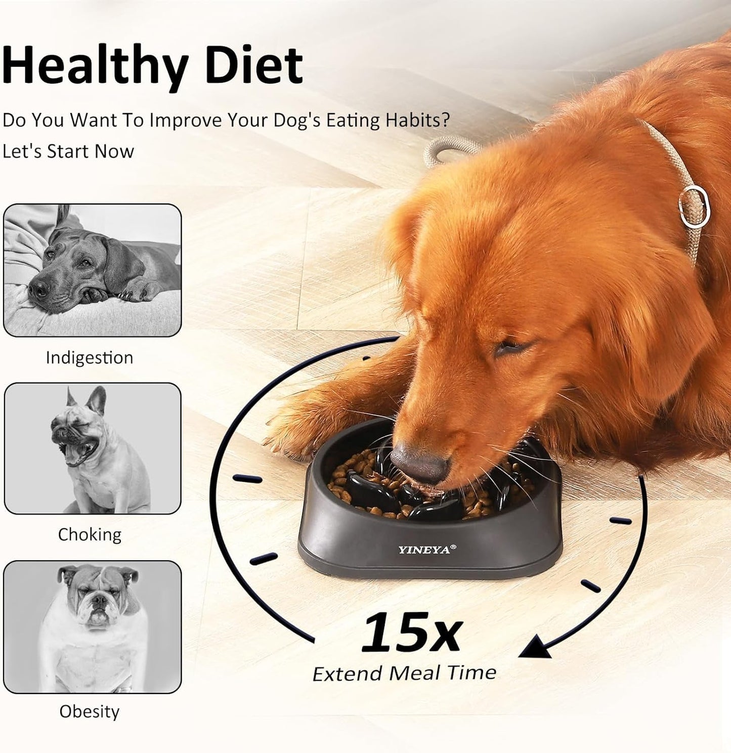 Interactive Slow Feeder Bowl for Dogs and Cats - 1 to 2 Cups Capacity (Black)