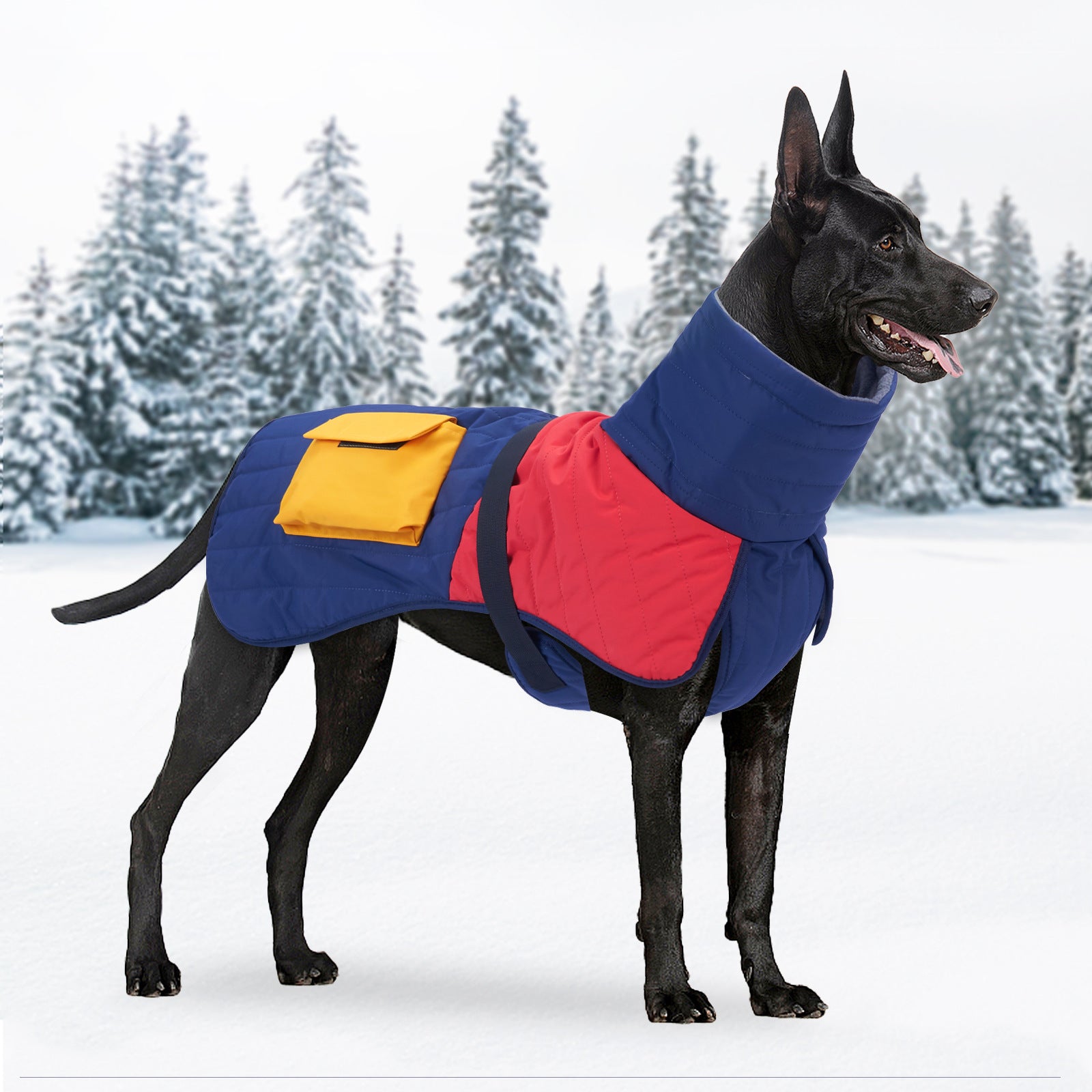 Pet Dog Clothes Winter Thickened Warm Dog Padded Winter Coat | Ethical ...
