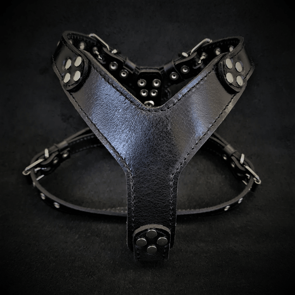 Premium Pet Guardian Gear: The ''Style'' harness Black Small to Medium Size - Sanctum Paws and Fangs