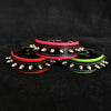 Premium Pet Guardian Gear: "Spiky" collar - Sanctum Paws and Fangs
