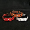 Premium Pet Guardian Gear: The "Superstar" puppy dog collar - Sanctum Paws and Fangs