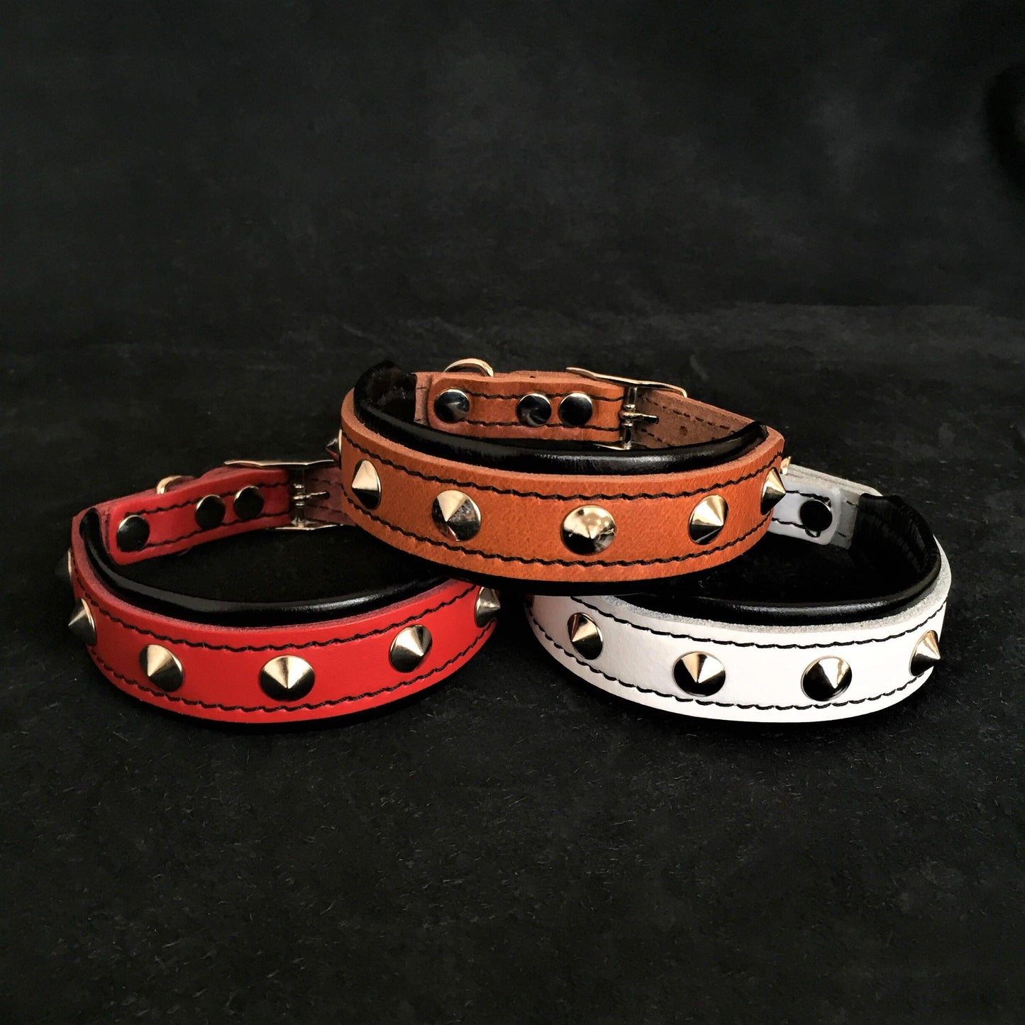 Premium Pet Guardian Gear: The "Superstar" puppy dog collar - Sanctum Paws and Fangs