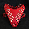 Premium Pet Guardian Gear: "Star" harness - Sanctum Paws and Fangs