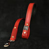 Premium Pet Guardian Gear: 'Eros'' leash RED - Sanctum Paws and Fangs