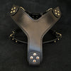 Premium Pet Guardian Gear: The ''Style'' harness Black - Sanctum Paws and Fangs