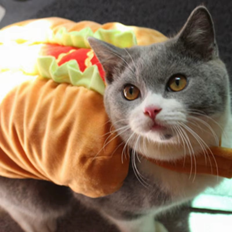 Dress Your Furry Friend as a Cute Hotdog! 🌭🐾 Adorable Pet Costumes for Dogs and Cats!