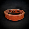 Premium Pet Guardian Gear: Clean Puppy Collar - Sanctum Paws and Fangs