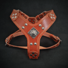 Premium Pet Guardian Gear: The ''Eros'' harness brown Small to Medium Size - Sanctum Paws and Fangs