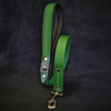 Premium Pet Guardian Gear: 'Eros'' leash GREEN - Sanctum Paws and Fangs