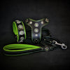 Premium Pet Guardian Gear: The ''Bijou'' SET -  Collar, Harness, Leash. Green - Sanctum Paws and Fangs