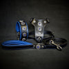 Premium Pet Guardian Gear: The ''Bijou'' SET -  Collar, Harness, Leash. Blue - Sanctum Paws and Fangs