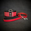 Premium Pet Guardian Gear: The "Star" Set- collar & leash - Sanctum Paws and Fangs