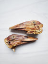 Premium Pet Guardian Gear: Duck Heads (ABF) - Sanctum Paws and Fangs