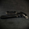 Premium Pet Guardian Gear: "Frenchie" Set- collar & leash. Black - Sanctum Paws and Fangs