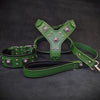 Premium Pet Guardian Gear: "EROS" BIG dog SET- Harness - collar - lead. Green - Sanctum Paws and Fangs
