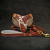 Premium Pet Guardian Gear: "Hermes" Set- harness & leash - Sanctum Paws and Fangs