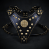 Premium Pet Guardian Gear: The ''Maximus'' harness Black & Gold  Small to Medium Size - Sanctum Paws and Fangs