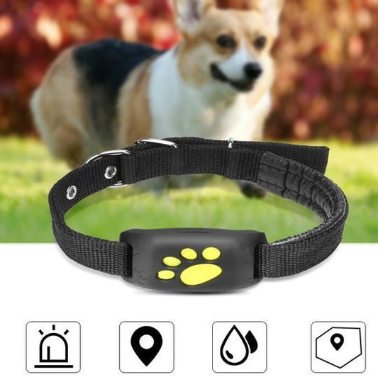 GPS Pet Tracker – Professional Location Monitoring for Ultimate Pet Security