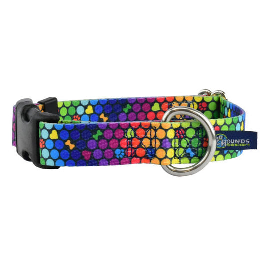 Premium Pet Guardian Gear: ROY G BIV Dog Collar – EarthStyle - Sanctum Paws and Fangs