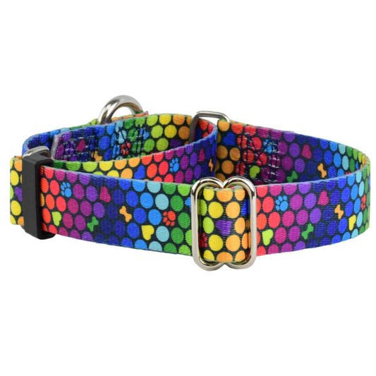 Premium Pet Guardian Gear: ROY G BIV Martingale Dog Collar – EarthStyle - Sanctum Paws and Fangs