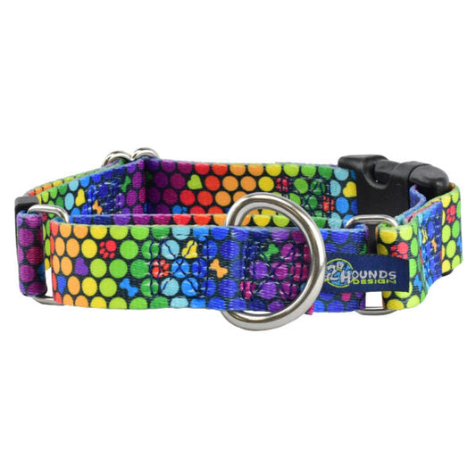 Premium Pet Guardian Gear: ROY G BIV Buckle Martingale Dog Collar – EarthStyle - Sanctum Paws and Fangs