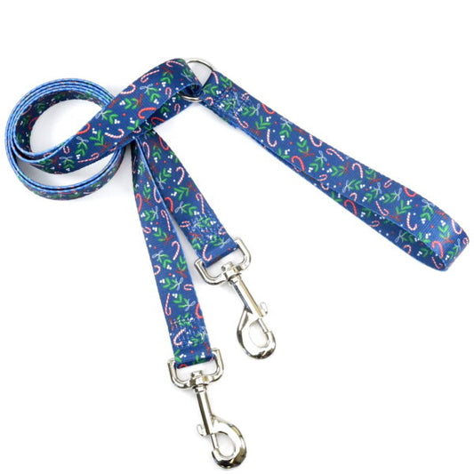 Premium Pet Guardian Gear: Kiss The Dog Double Connection Leash – EarthStyle - Sanctum Paws and Fangs