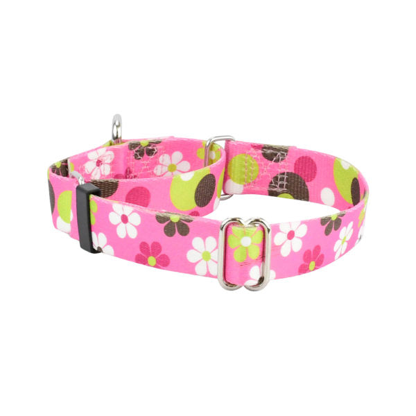 Premium Pet Guardian Gear: Daisy Dot Martingale Dog Collar – EarthStyle - Sanctum Paws and Fangs