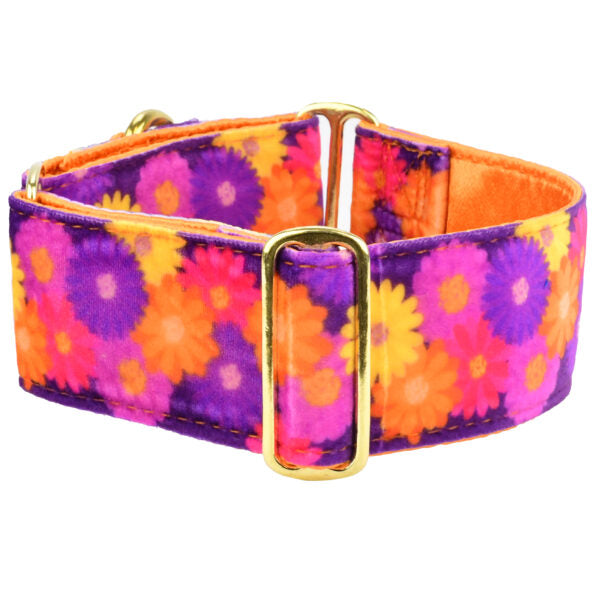 Premium Pet Guardian Gear: Gerbera Daisy Elite Velvet Dog Collar - Sanctum Paws and Fangs