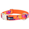 Premium Pet Guardian Gear: Gerbera Daisy Velvet Essential Dog Collar (1″ Only) - Sanctum Paws and Fangs