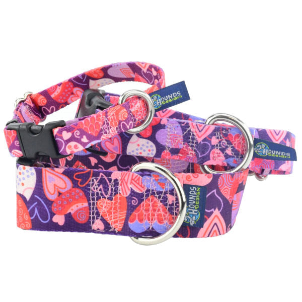 Premium Pet Guardian Gear: Wild Hearts Dog Collar – EarthStyle - Sanctum Paws and Fangs