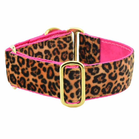 Premium Pet Guardian Gear: Soft Kitty Elite Velvet Martingale Dog Collar (Multiple Lining Color Options) - Sanctum Paws and Fangs