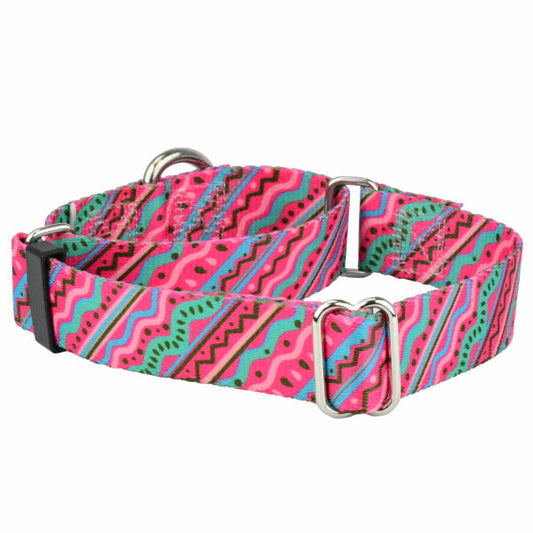 Premium Pet Guardian Gear: 1980’s Martingale Dog Collar – EarthStyle - Sanctum Paws and Fangs