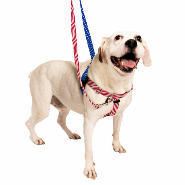 Star Spangled Freedom No-Pull Dog Harness  EarthStyle
