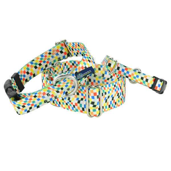 Indy Flag Buckle Martingale Dog Collar  EarthStyle