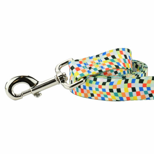 Indy Flag Dog Leash  EarthStyle