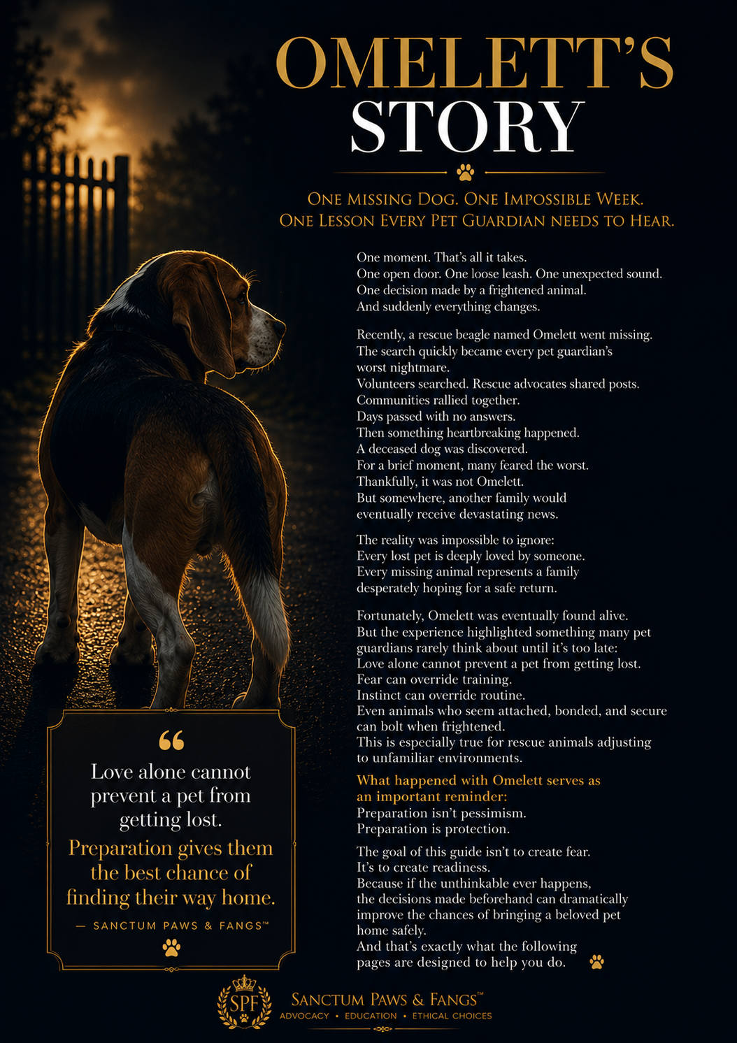 LOST PET PREVENTION