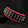 Premium Pet Guardian Gear: The "Stud" dog collar - Sanctum Paws and Fangs