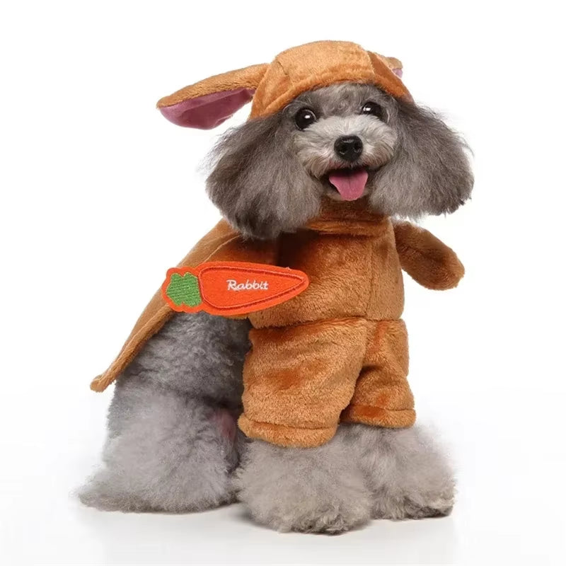 Get Your Pup Ready for Halloween with These Hilarious Dog Costumes! Perfect for Parties and Pet Festivals! 🎃🐶✨