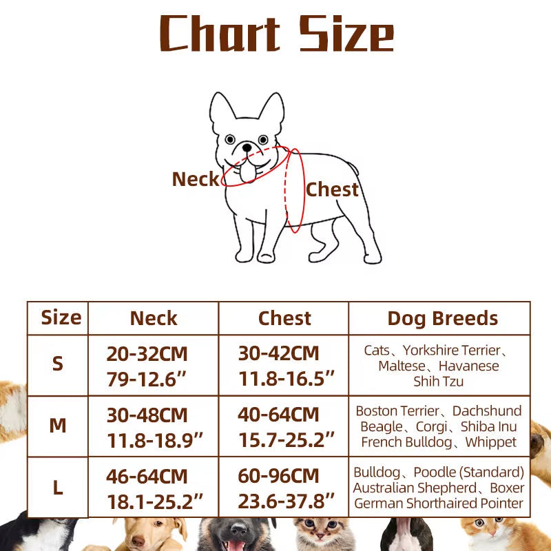 Get Your Pup Ready for Spooktacular Fun! 🎃🐶 Check Out Our Hilarious Dog Rider Costume for Large Dogs! #HalloweenPets #DogCostumes
