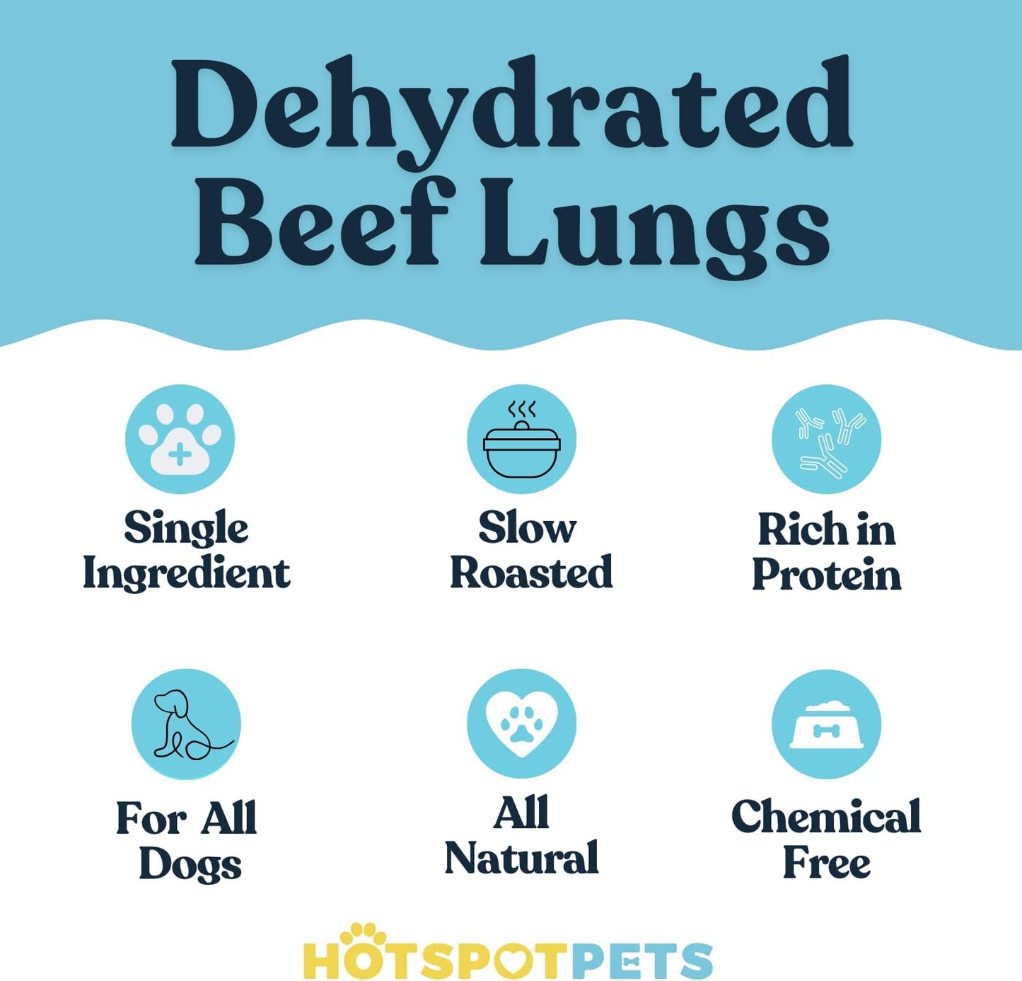 Beef Lung Dog Treats -1 Pound Big Bag - Slow Roasted, All Natural Dehydrated Premium Beef Lung Training Treats for Dogs - High Protein- Rawhide Alternative Snack for All Breeds