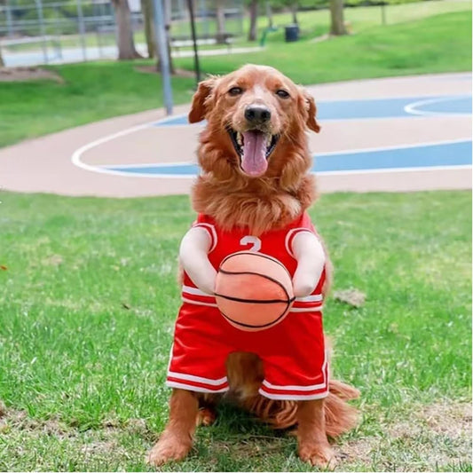 Get Your Pup in the Game with This Adorable Dog Basketball Player Costume! Perfect for Halloween and Playful Dress-Up! 🏀🐶✨