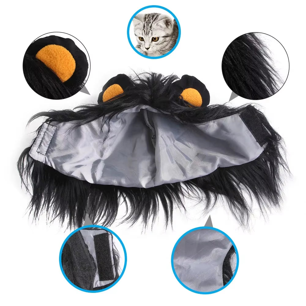 Transform your pup into a roaring lion this Halloween with our adorable lion headgear costume! Perfect for small dogs and even cats! 🦁🎃 #PetCostume #HalloweenFun