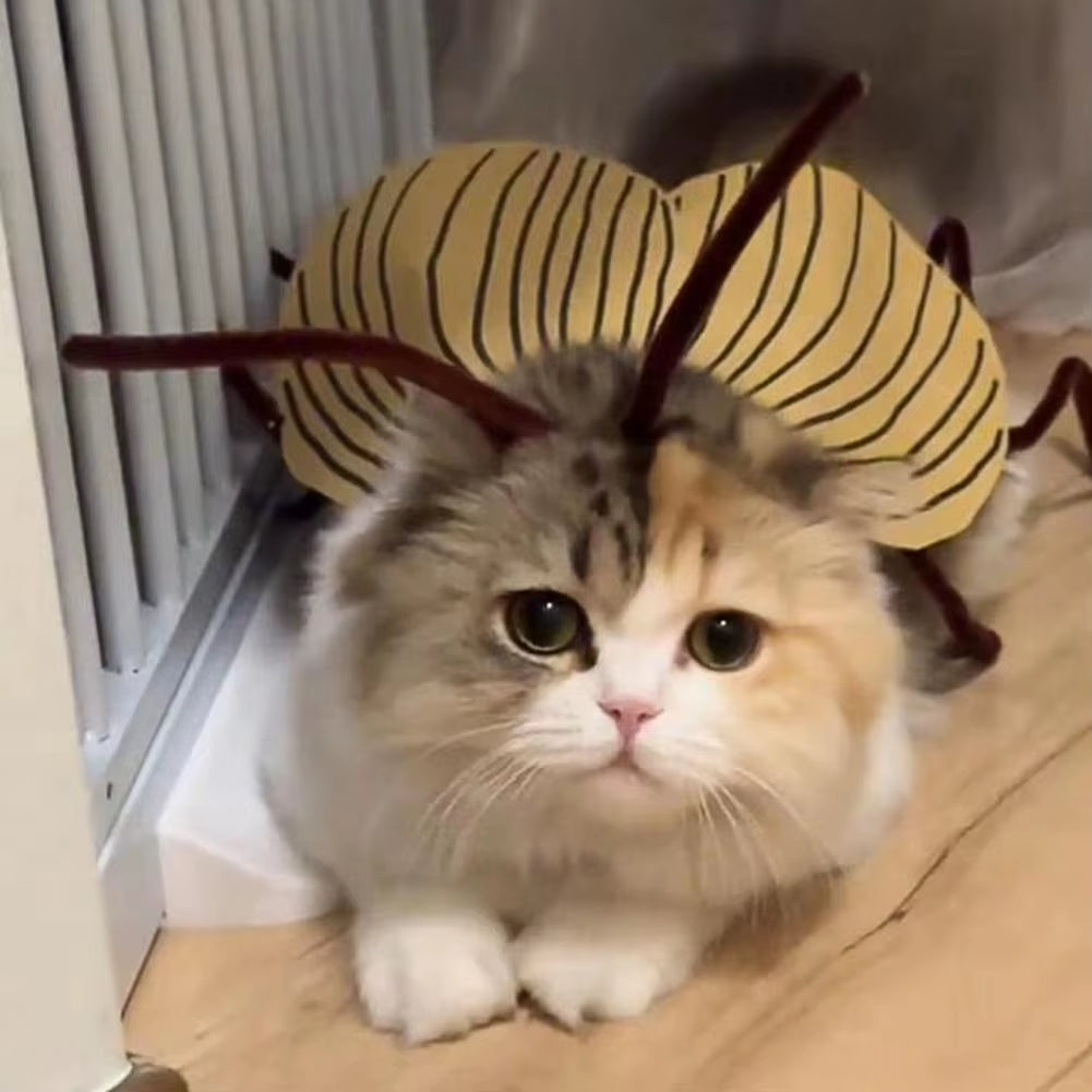 Get Your Furry Friend Ready for Halloween with This Hilarious Handmade Cockroach Costume! 🐾🎃 #PetCostume #HalloweenFun