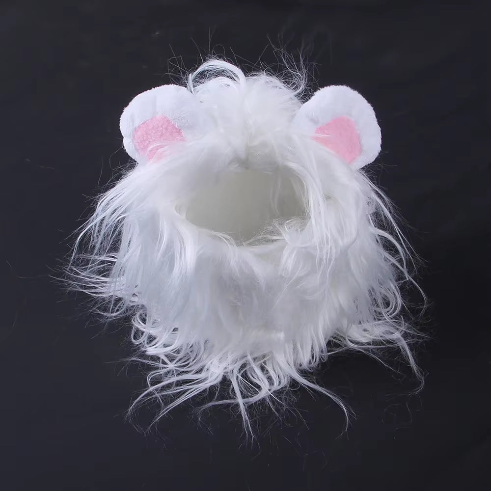 Transform your pup into a roaring lion this Halloween with our adorable lion headgear costume! Perfect for small dogs and even cats! 🦁🎃 #PetCostume #HalloweenFun